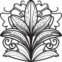 Lily coloring pages. Lily flower outline vector for coloring book