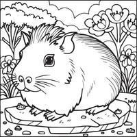 Guinea pig coloring pages. Guinea pig outline vector for coloring book