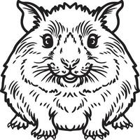 Guinea pig coloring pages. Guinea pig outline vector for coloring book