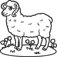 Sheep coloring pages. Sheep outline vector