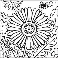 Daisy flower coloring pages. Daisy outline vector for coloring book