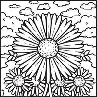 Daisy flower coloring pages. Daisy outline vector for coloring book