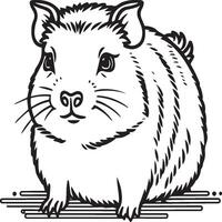 Guinea pig coloring pages. Guinea pig outline vector for coloring book