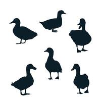 Duck Vector Art Silhoutte GraphicsDuck Vector Art Silhoutte Graphics