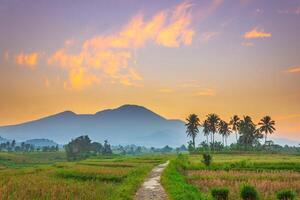 hermosa Mañana ver desde Indonesia de montañas y tropical bosque foto