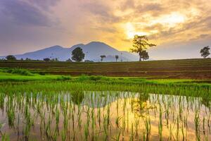 hermosa Mañana ver desde Indonesia de montañas y tropical bosque foto