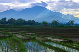 beautiful morning view from Indonesia of mountains and tropical forest photo