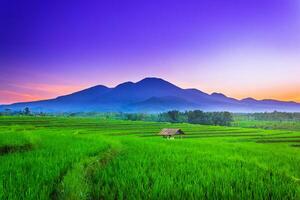 beautiful morning view from Indonesia of mountains and tropical forest photo