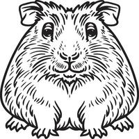 Guinea pig coloring pages. Guinea pig outline vector for coloring book