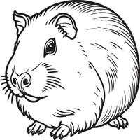 Guinea pig coloring pages. Guinea pig outline vector for coloring book