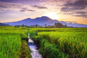 beautiful morning view from Indonesia of mountains and tropical forest photo