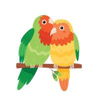 Two parrots, parrots are inseparable, cute birds on a tree branch. vector