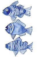 watercolor set with fish. children's simple drawing blue fish on a white background. doodle vector