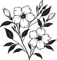 Allamanda cathartica birth flower vector illustration, beautiful Allamanda cathartica flower wall decor, hand-drawn coloring pages Allamanda cathartica flower drawing of artistic Allamanda