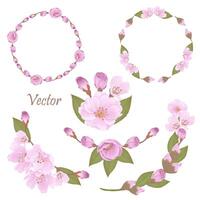 Hand-Drawn Pink Cherry Blossoms - Japan Inspired Flowers vector