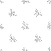 Seamless butterfly pattern. ornament with butterflies. drawn spring illustration vector