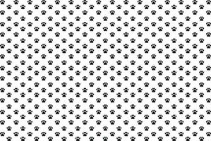 Black paw patterns on a white background vector