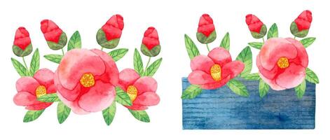 composición de japonés camelia con rojo flores con hojas y en un florero. botánico acuarela ilustración. sencillo estilizado estilo. mano dibujo. conjunto de elementos para tarjetas, invitaciones vector
