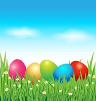 Colorful Easter eggs on green grass vector