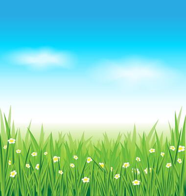 Green grass and blue sky background