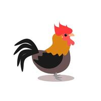 Cute black rooster cartoon standing isolated on white background. Animal chicken graphic illustration vector