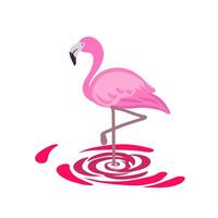 Illustration of a flamingo. Pink bird standing on whirlpool drawing cartoon vector