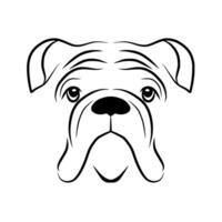 Dog breed bulldog head, wrinkled face, vector illustration