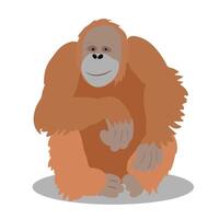 Orangutan Sitting and smiling on white background graphic vector illustration