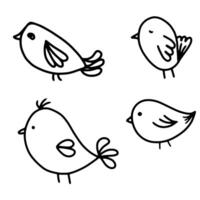 set of birds. Cute baby animal hand drawing doodles with black line vector