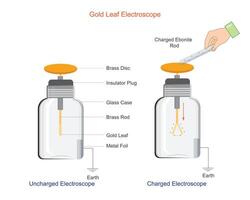 un oro hoja electroscopio detecta eléctrico cargos por el divergencia de Delgado oro hojas.usadas en física educación a demostrar el principios de electrostática. vector