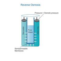 reverse osmosis process vector