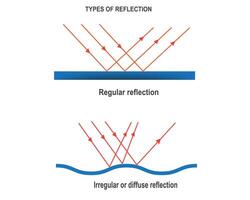 types of reflection vector