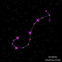 Zodiac signs. The constellation of Scorpio in the black starry sky. Vector illustration.
