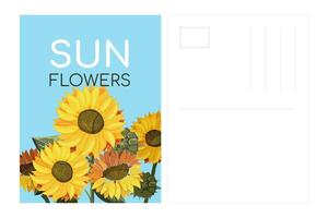 Postcard template Sunflowers on a blue background. Fields for address and brand. Summer field of yellow flowers with text. Sunflower seeds. Painted in watercolor. Botany. Vector illustration