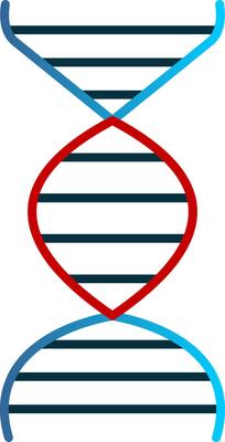 Dna Flat Gradient  Icon