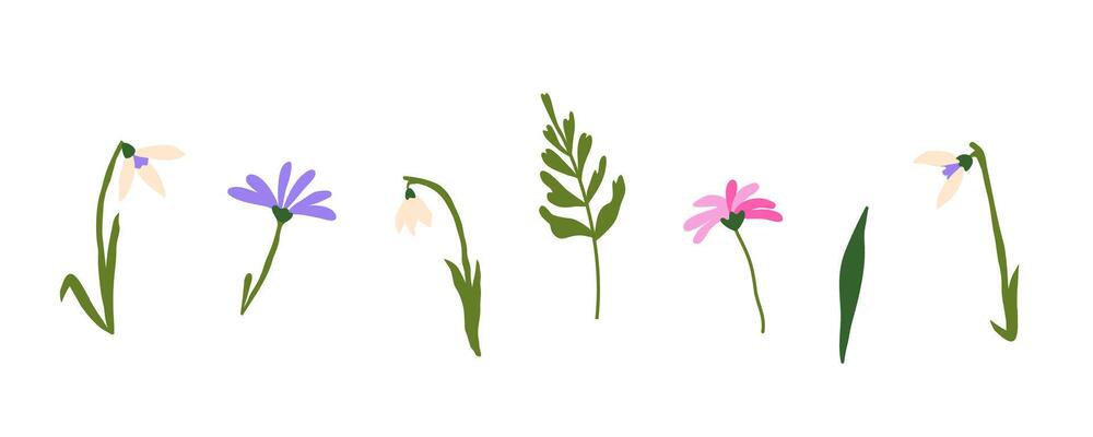 Set of spring wildflowers. Elegant tiny decorative leaves, snowdrops, flowers and branches. Hand drawn modern vector isolated clipart