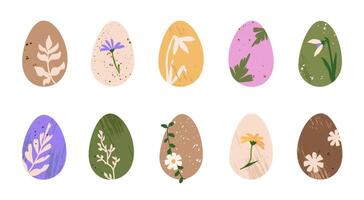 Set of natural dyed Easter eggs with botanical prints. DIY flower decorated eggs. Handmade Easter symbol. Vector isolated illustration