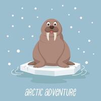 Cute baby walrus on an ice floe on a blue background with snow. Design for print, children's card, illustration. Vector