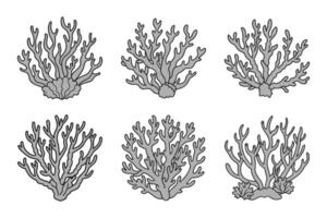 Set of coral reefs or seaweeds, underwater plants. Set of sea coral icons. Sketch, illustration. Vector