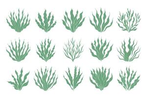 Set of algae or coral reefs. Collection of underwater plants. Set of seaweed icons. Illustration. Vector