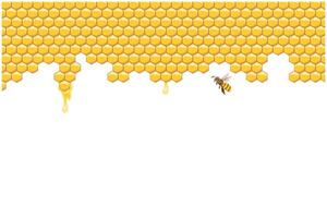 Bee hive, abstract honeycombs and bees on a white background. Illustration. Vector