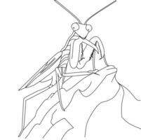 Line art Grasshopper vector