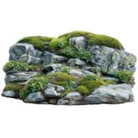 AI generated Lush green moss and succulents on rocky outcrop png