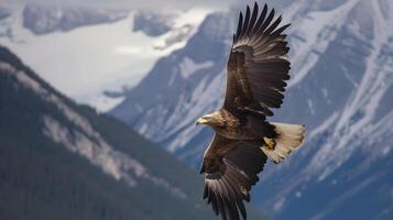 AI generated an eagle flies over a mountain range with snow capped peaks photo