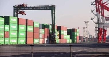 Containers and cranes near the port in Aomi Tokyo telephoto shot video