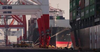 Containers and cranes near the port in Aomi Tokyo telephoto shot video