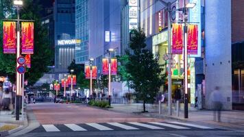 ein Nacht Zeitraffer von das Menge beim das Neon- Stadt, Dorf im Shinjuku Tokyo Zoomen video