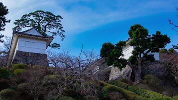 een timelapse van wolk Bij de poort van Odawara kasteel in kanagawa kantelen video