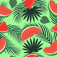 Seamless pattern with hand drawn tropical watermelon and palm leaves on green background. vector