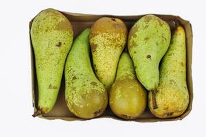 Pile of green ripe pears Conference packaged in rectangle carton cardboard container for retail sale, isolated on white background. Plastic free packaging. Top view. Selective focus. photo